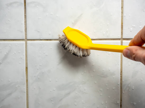 Best Mold Remediation for Schools in Wimberley, TX