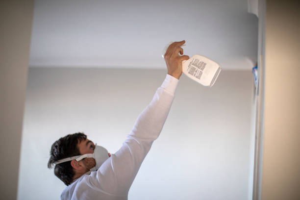 Best Mold Testing and Inspection Services in Wimberley, TX